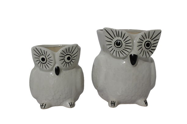 Owl Pot