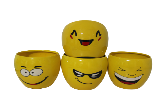 Smiley Pot