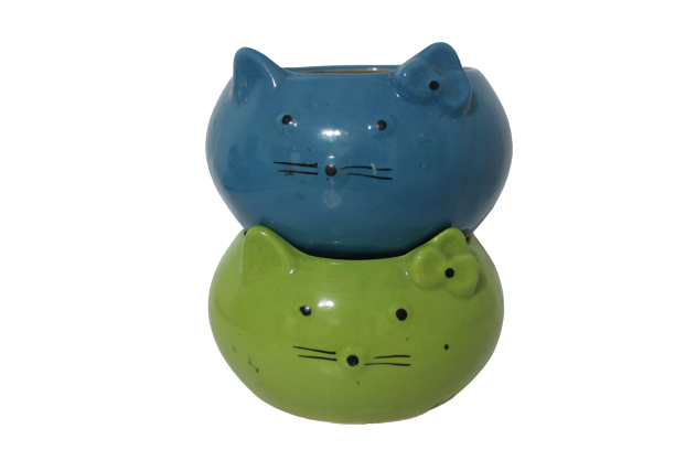Kitty Pot
